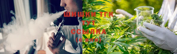 гашик Балахна