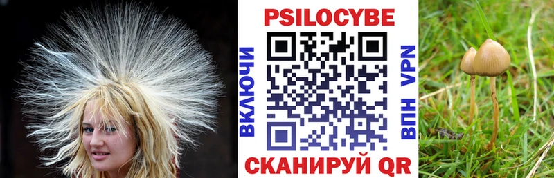 Галлюциногенные грибы GOLDEN TEACHER  купить наркотик  Первомайск 